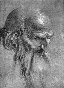 Albrecht Durer, Head of an Apostle Looking Downward